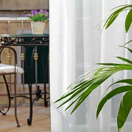 Apartman Ambroz Vela Luka